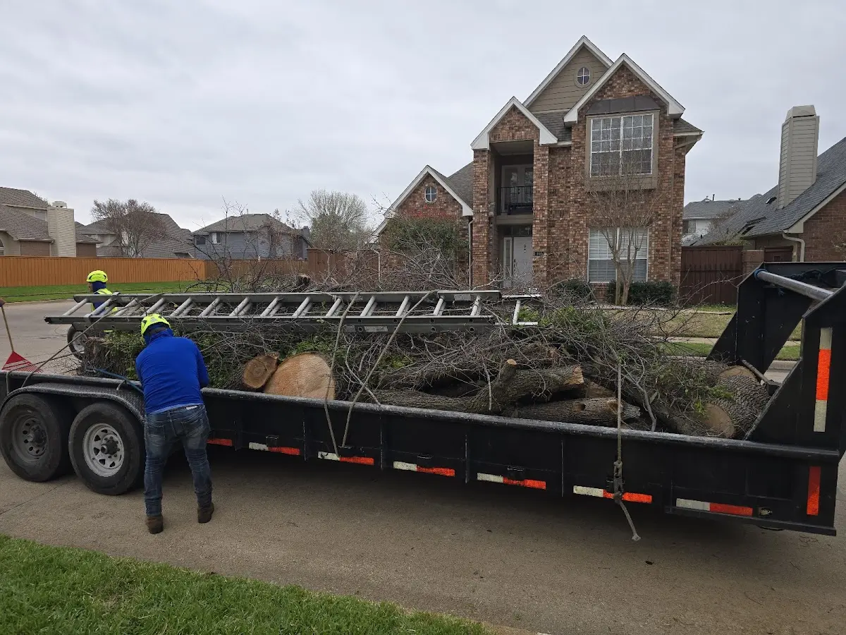 Expert Lot Clearing with proper safety equipment in Dodge